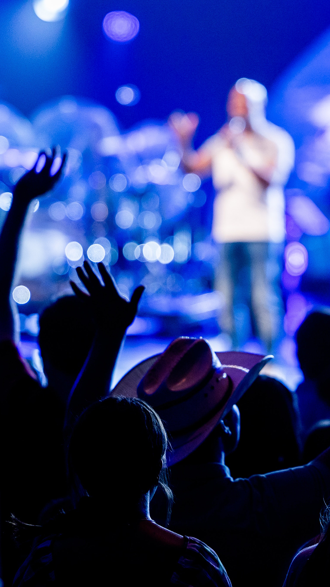 Image hover effect image