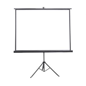 השכרת מסך הקרנה 244X244 ס"מ